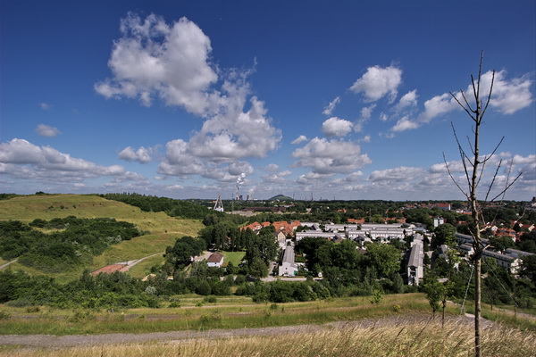 Rungenberg_04